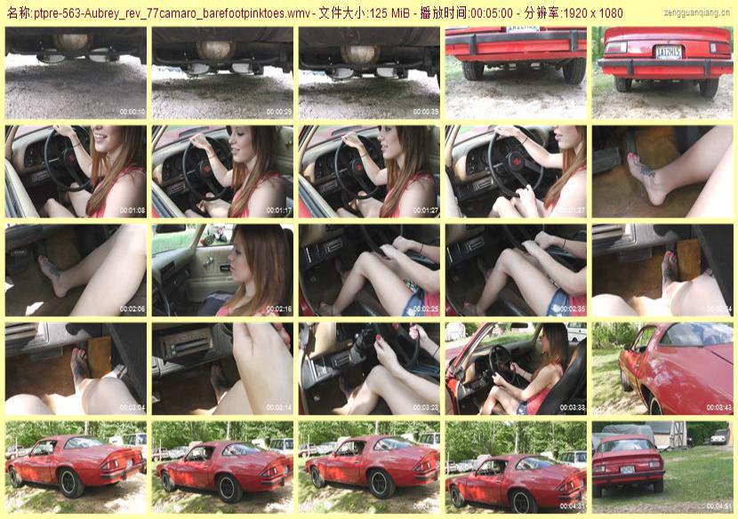 ptpre-563